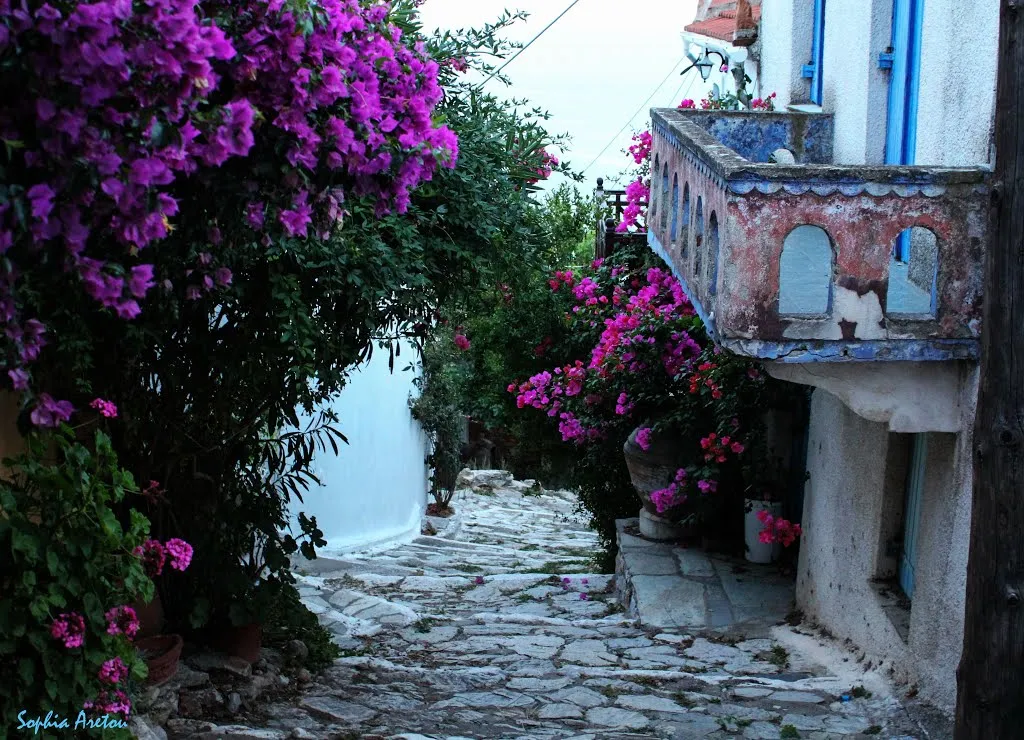 A flower-covered stone alley in the Old Town of Alonissos